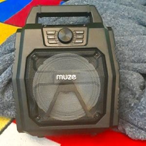Loud muze speaker